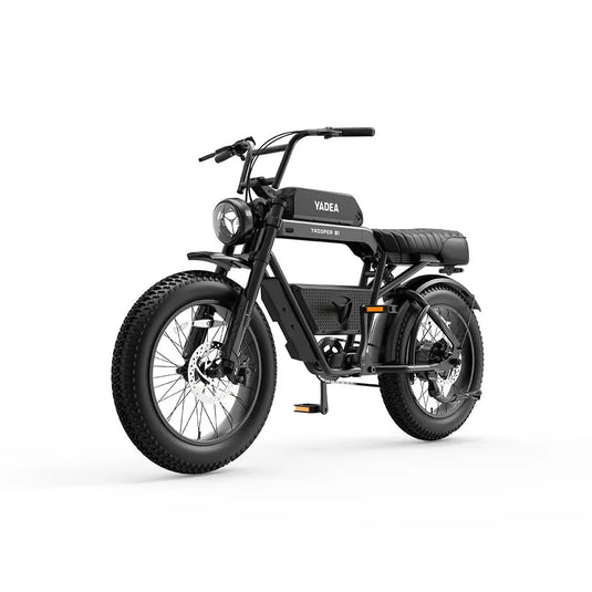 750w electric bike Troope 01